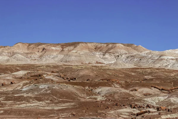 完美的蓝天的石化国家福雷斯 — 图库照片