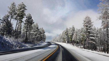 Cominco Ormanı, AZ, ABD 'de ani kar yağışı ile dolu virajlı yollar