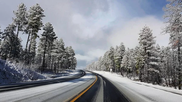 Cominco Ormanı, AZ, ABD 'de ani kar yağışı ile dolu virajlı yollar