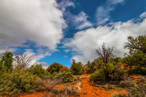 Sedona, AZ, ABD dışındaki aydınlık vahşi doğa manzarası