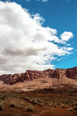 Gölgede kırmızı eğrelti otları ve güneşte dağlar, AZ, ABD