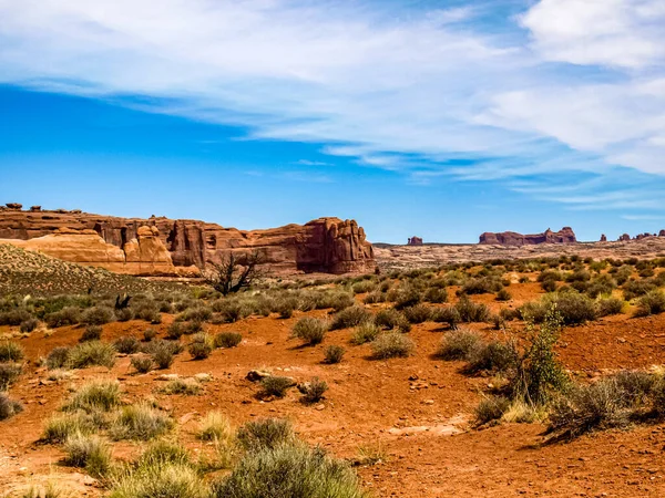 Çöl bitkileriyle dolu geniş açık çöl manzarası, Arches Ulusal Parkı, UT, ABD