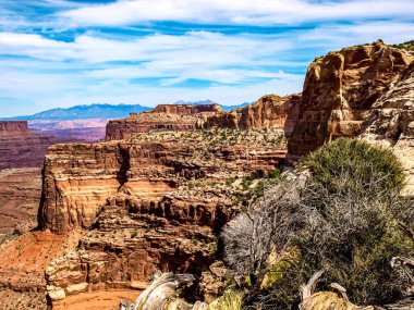 UT, ABD 'deki Canyonlands Ulusal Parkı' nda kırmızı kayalar ve kuru bitki örtüsü dalgaları