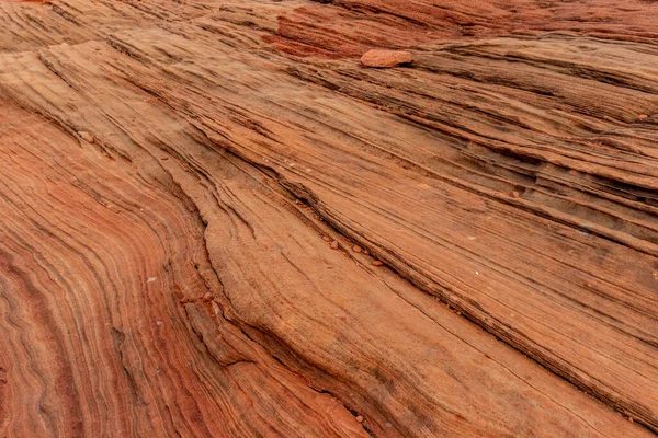 Geometria Dentro Padrões Rocha Deserto Chains Page Arizona Eua — Fotografia de Stock