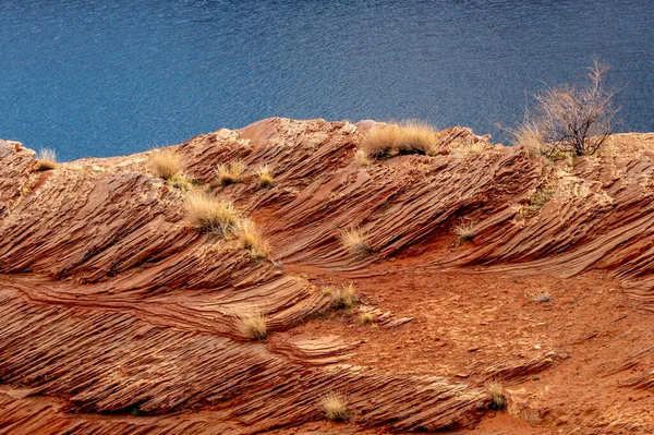 Golden Grass Ferns Add Beauty River Banks Chains Page Arizona — Stock Photo, Image