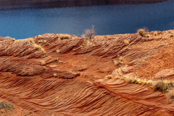 Golden Rock Folds Ferns River Bank Chains Page Arizona États — Photo