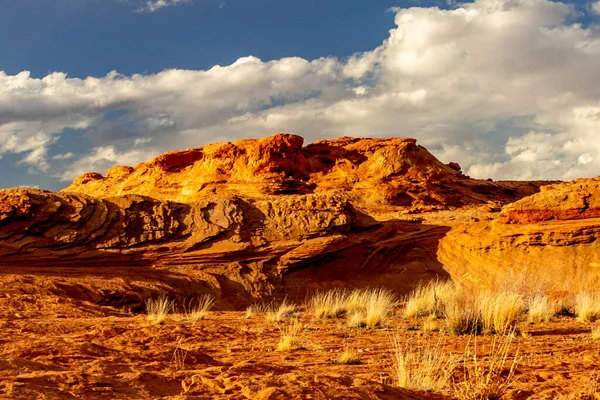 Close View Grass Turned Golden Desert Evening Sun Chains Page — стоковое фото