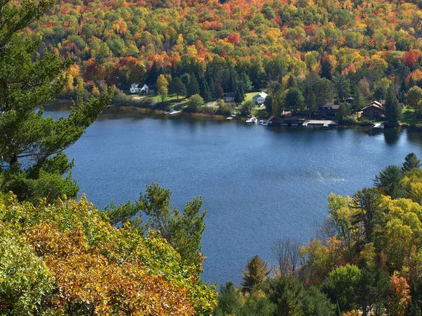 Fünf Seen Von Oben Gesehen Kwarthas Gebiet Kanada lizenzfreie Stockfotos