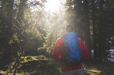 adam mavi sırt çantası ve ormanın içinde kırmızı kazaklı hiking