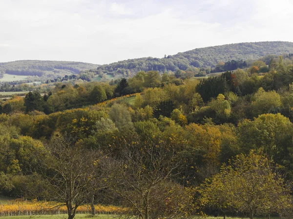 Herbstlich Buntes Feld Und Waldhintergrund Oktober — Stockfoto