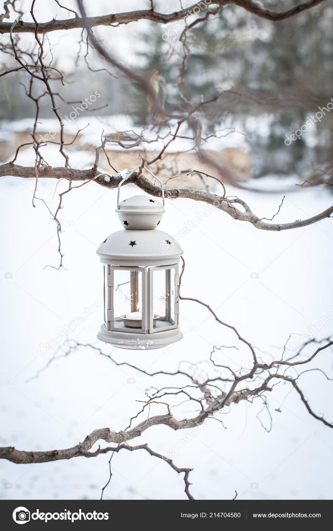 Winter Decorative Lantern Candle Hanging Branch Snow Background