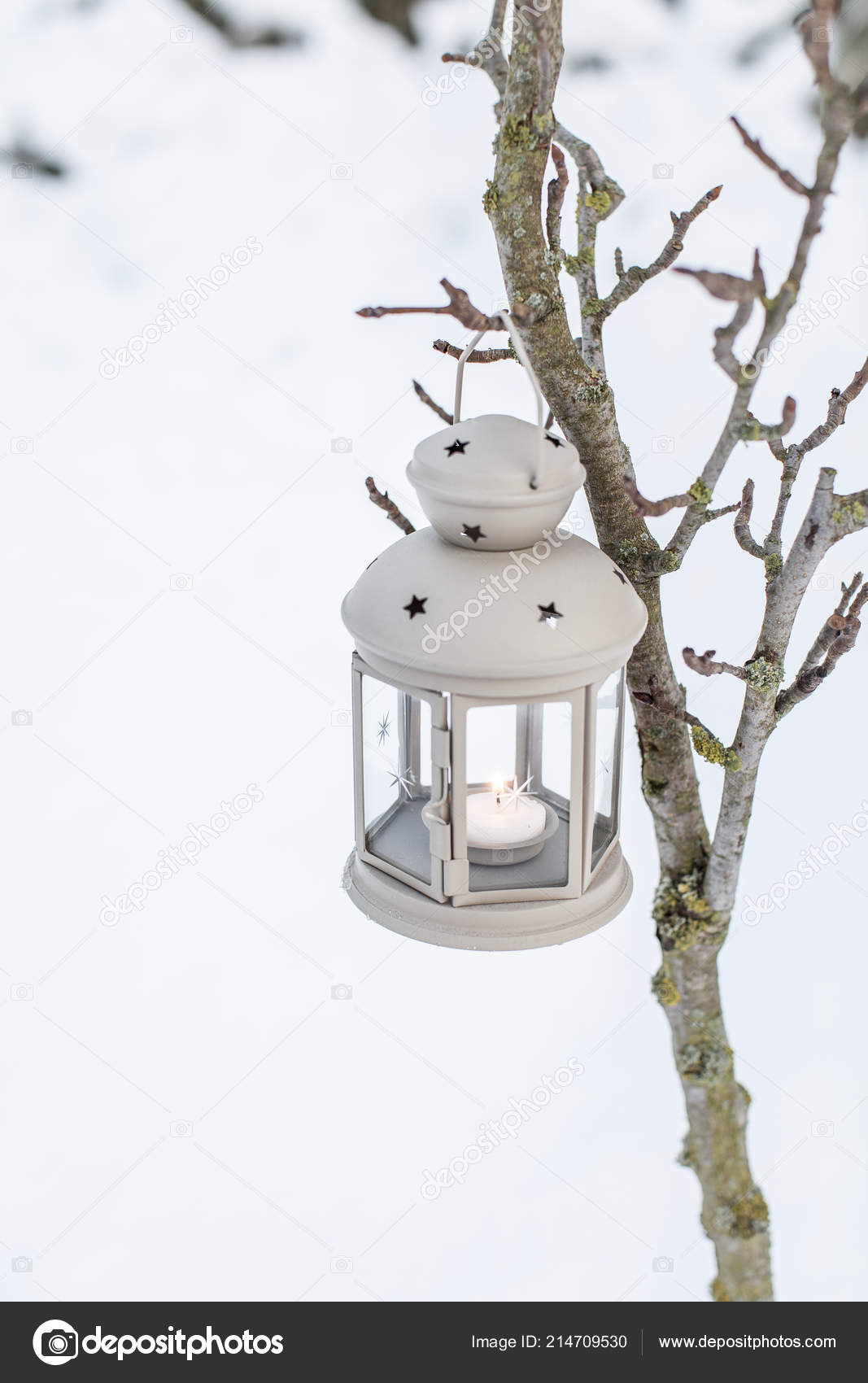 Winter Decorative Lantern Candle Hanging Branch Snow Background