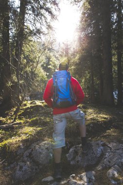 güneşli ormanda hiking mavi sırt çantası ile arkadan görünüşü kırmızı kazaklı adam