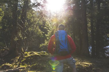 güneşli ormanda hiking mavi sırt çantası ile arkadan görünüşü kırmızı kazaklı adam