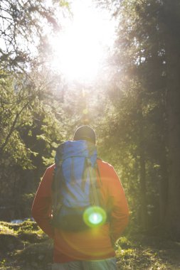 güneşli ormanda hiking mavi sırt çantası ile arkadan görünüşü kırmızı kazaklı adam