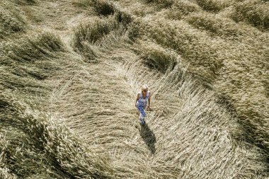 güneşli bir günde çavdar alanında yürüyen beyaz yazlık elbise giyen çekici kadın 
