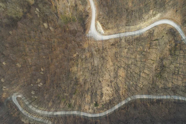 Воздушные Беспилотники Вид Лес Грунтовую Дорогу Лесу Австрии — стоковое фото