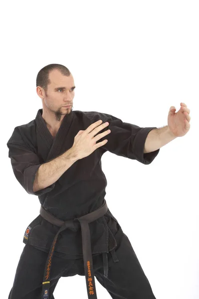 Luchador Karate Masculino Serio Entrenamiento Del Kimono Aislado Fondo Blanco —  Fotos de Stock