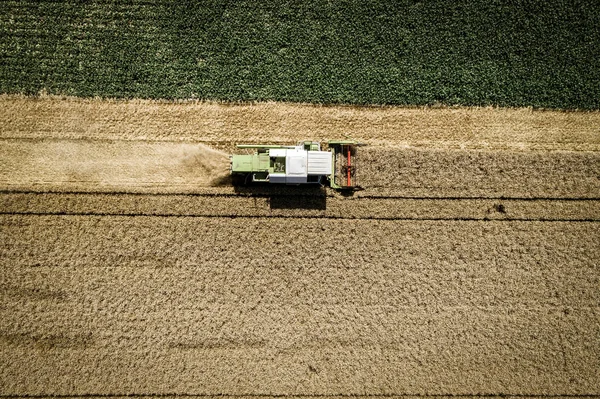 Aerial View Combine Harvester Harvesting Crop Field Agricultural Concept — Stock Photo, Image