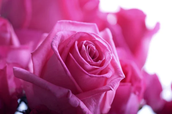 Krásná Kytice Růžových Růží Izolovaných Bílém Pozadí Detail — Stock fotografie