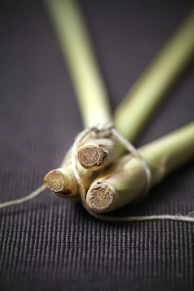 Högen Liten Citrongräs Mörk Bakgrund Närbild — Stockfoto