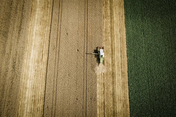 Luftaufnahme Der Mähdrescher Ernte Auf Dem Feld Landwirtschaftliches Konzept — Stockfoto