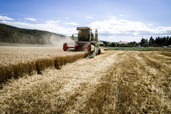 combine harvester harvesting crop on field, agricultural concept