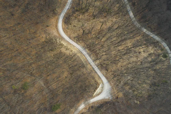 Volo Aereo Drone Vista Sulla Foresta Strada Sterrata Nella Foresta — Foto Stock
