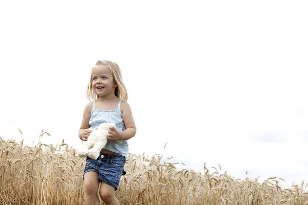 Kleine Blonde Mooie Meisje Met Speelgoed Wandelen Gouden Tarwe Weide — Stockfoto