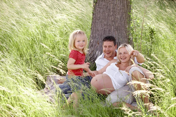 Retrato Bella Familia Bajo Árbol Pradera Verde —  Fotos de Stock