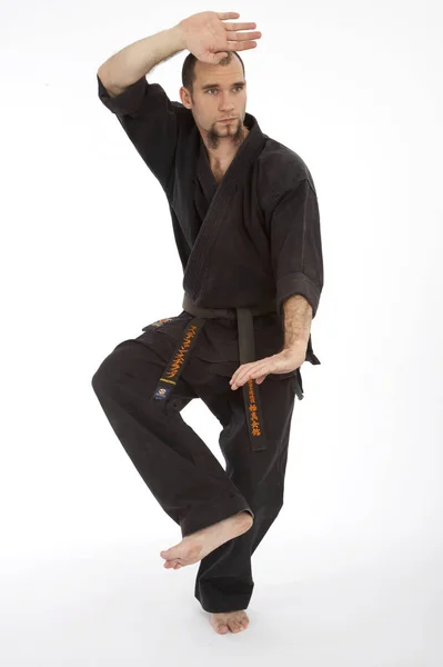 Seriózní Mužský Karate Bojovník Kimonu Trénink Izolovaný Bílém Pozadí Studia — Stock fotografie