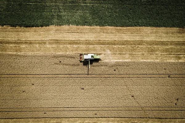 Tarlada Hasat Hasat Ürün Birleştirmek Havadan Görünümü Tarımsal Kavram — Stok fotoğraf