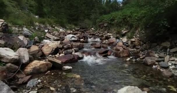 Потоку Протікає Серед Скель Ущелині Австрія — стокове відео