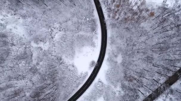 Vista Aérea Estrada Montanha Floresta Inverno — Vídeo de Stock