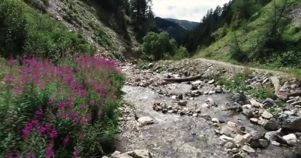 Arroyo Que Fluye Entre Rocas Garganta Austria — Vídeo de stock