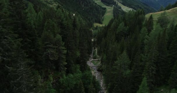 Поток Текущий Между Скалами Ущелье Австрия — стоковое видео