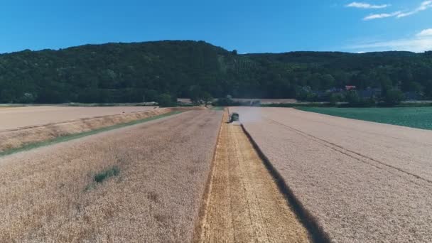 Combine Harvester Harvesting Crop Field Agricultural Concept — Stock Video