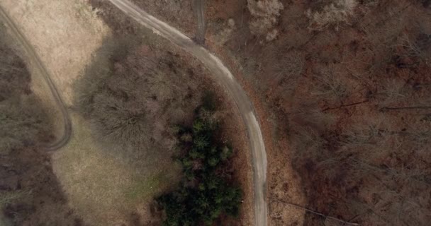 Vuelo Drones Sobre Carretera Forestal Otoño — Vídeos de Stock