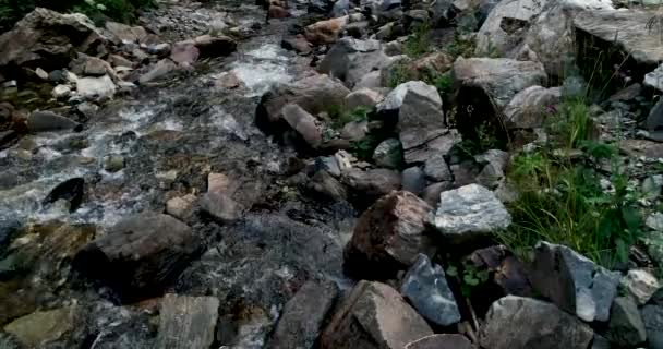 Cold Stream Flowing Rocks Austria — Stock Video