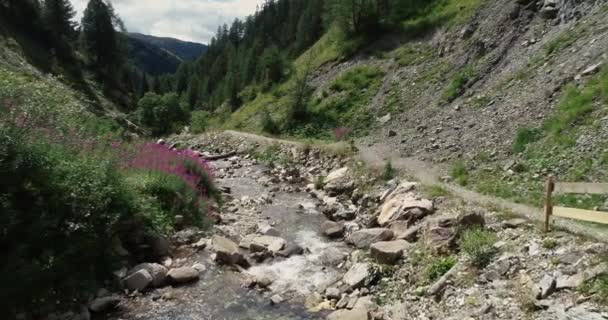 Stream Stromen Tussen Rotsen Gorge Oostenrijk — Stockvideo