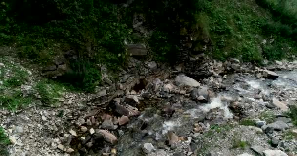 Gorge Avusturya Kayalarda Arasında Akan Dere — Stok video