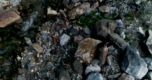 Corrente Fredda Che Scorre Tra Rocce Austria — Video Stock