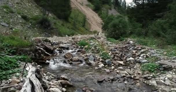 Stream Flowing Rocks Gorge Austria — Stock Video
