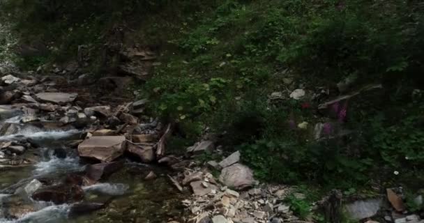 Gorge Avusturya Kayalarda Arasında Akan Dere — Stok video