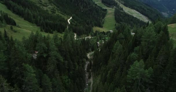 Stream Stromen Tussen Rotsen Gorge Oostenrijk — Stockvideo