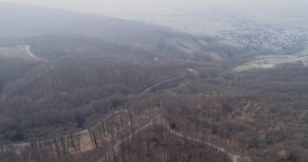 Drone Vlucht Herfst Bos Weg — Stockvideo