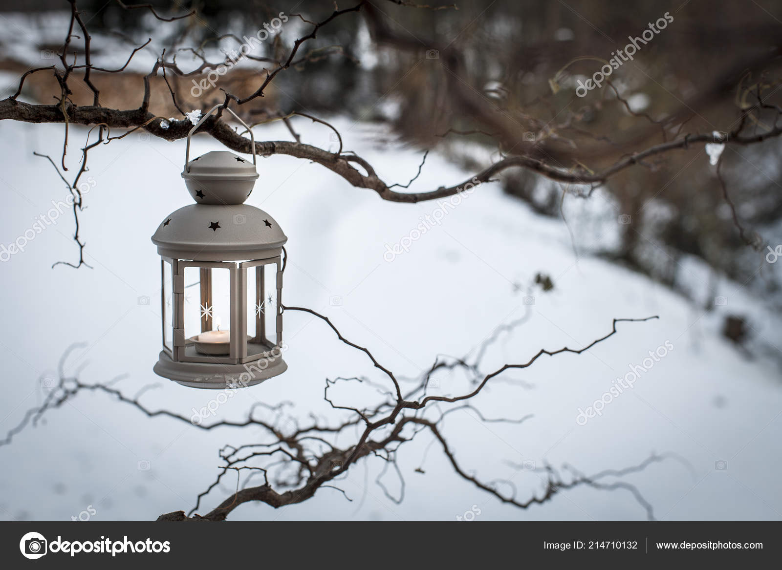 Winter Decorative Lantern Candle Hanging Branch Snow Background
