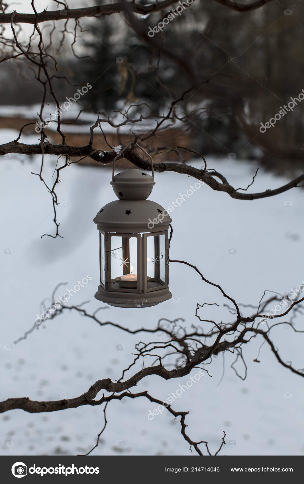 Winter Decorative Lantern Candle Hanging Branch Snow Background