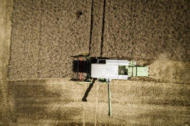Tarlada hasat hasat ürün birleştirmek havadan görünümü, tarımsal kavram 