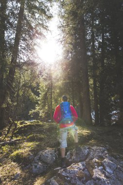 güneşli ormanda hiking mavi sırt çantası ile arkadan görünüşü kırmızı kazaklı adam